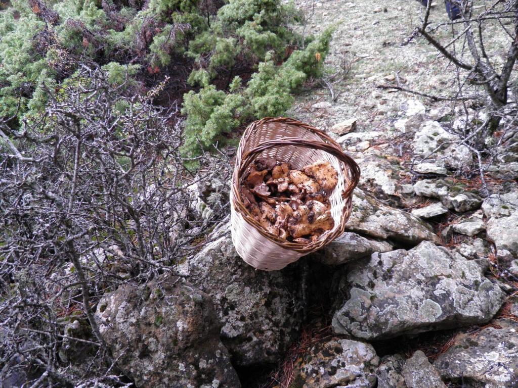 Hotel Torres de Albarracín Εξωτερικό φωτογραφία